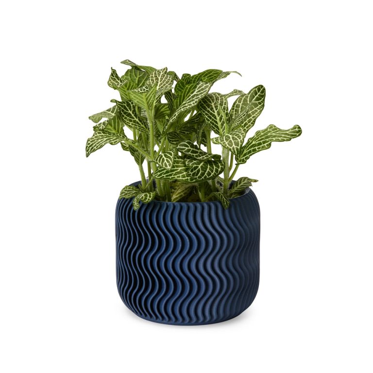 Wavy Pine 3D-Printed Planter – Midnight Blue