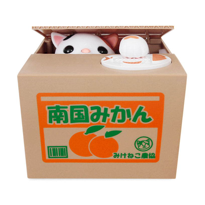 Cat in Coin Bank