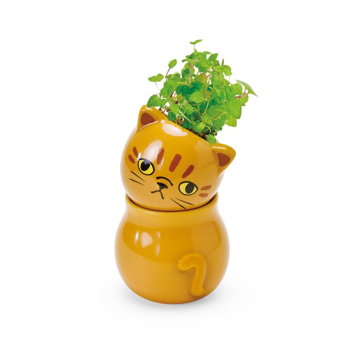Corocoro Cat Planter – Single