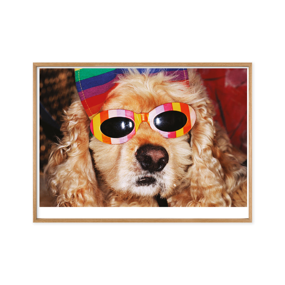 Martin Parr Venice Beach Framed Poster