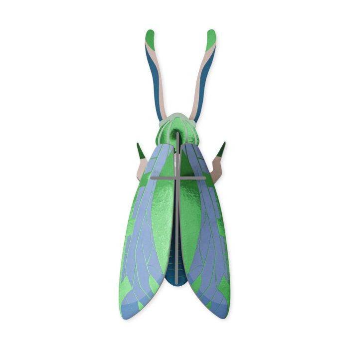 DIY Giant Beetle Kit – Jade Grasshopper