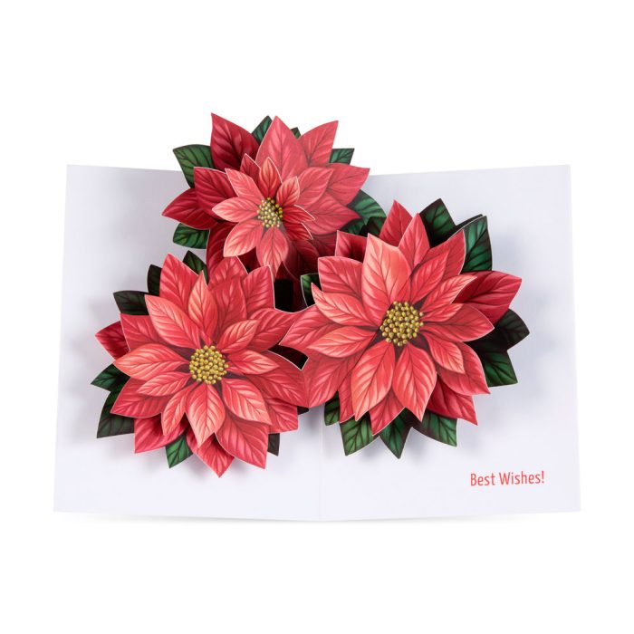 Radiant Poinsettia Holiday Pop-Up Cards – Set of 8