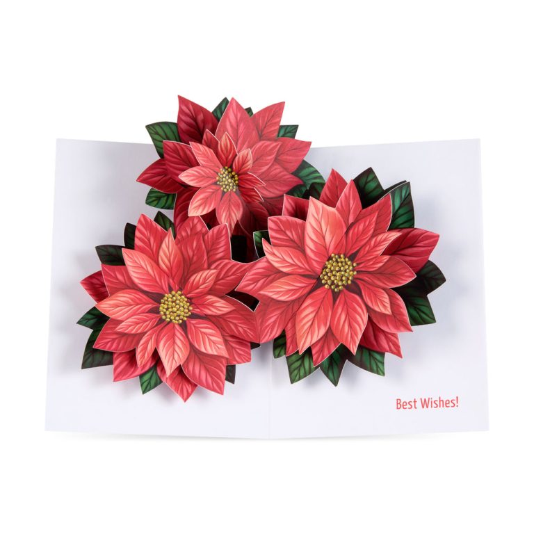 Radiant Poinsettia Holiday Pop-Up Cards – Set of 8