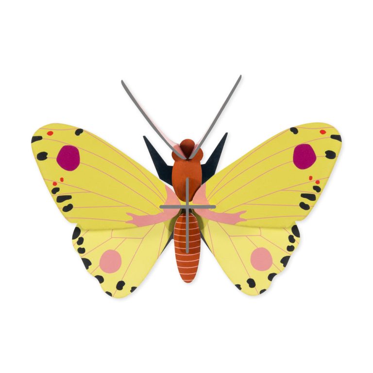 DIY Mini Butterfly Kit – Luzerne Butterfly