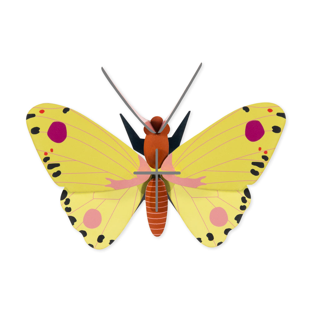 DIY Mini Butterfly Kit – Luzerne Butterfly