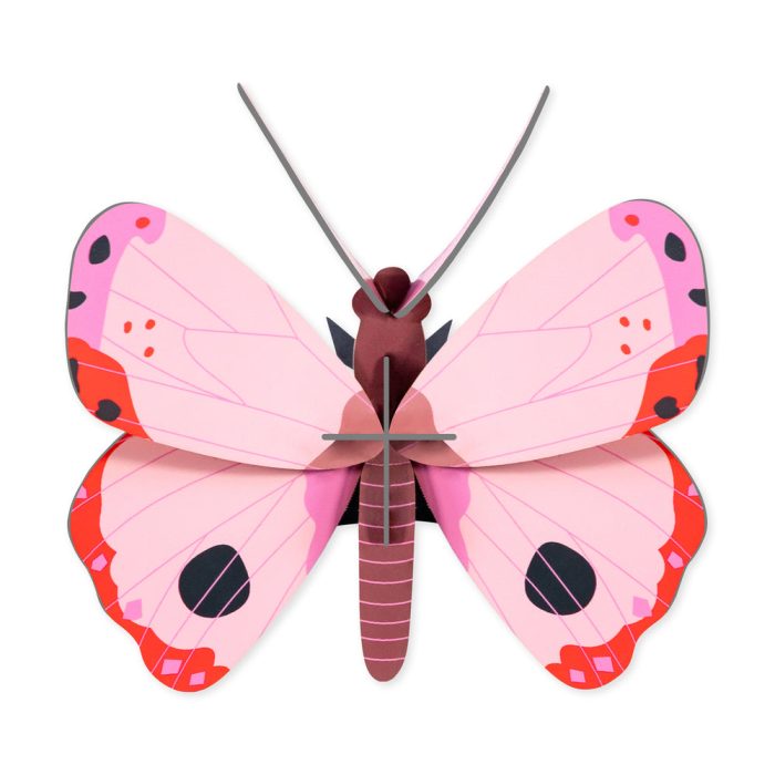 DIY Mini Butterfly Kit – Rosora Butterfly