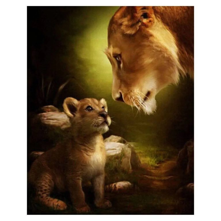 A Lion Family
