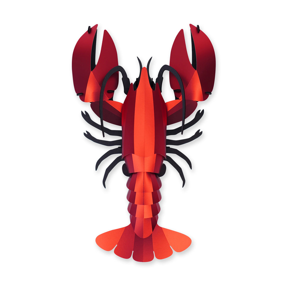 Creature 3D Puzzle DIY Kit – Lobster