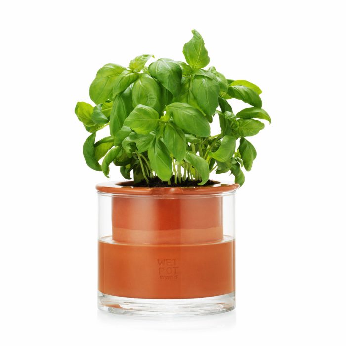 Self-Watering Wet Pots – Small