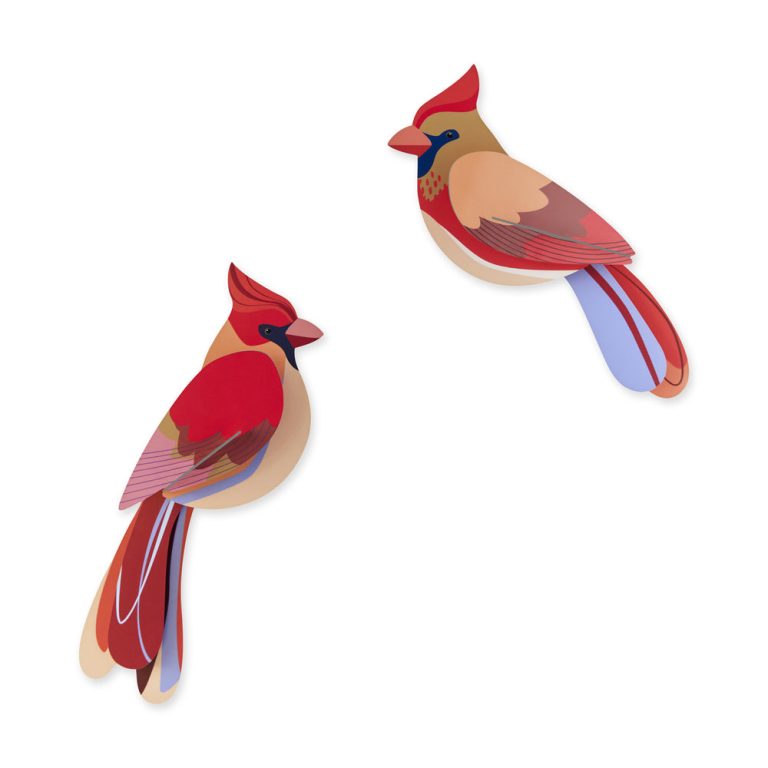 DIY Garden Bird Wall Art Kits – Cardinals