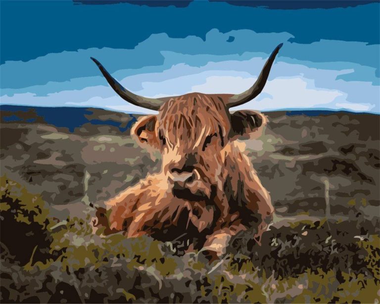 Cow Resting