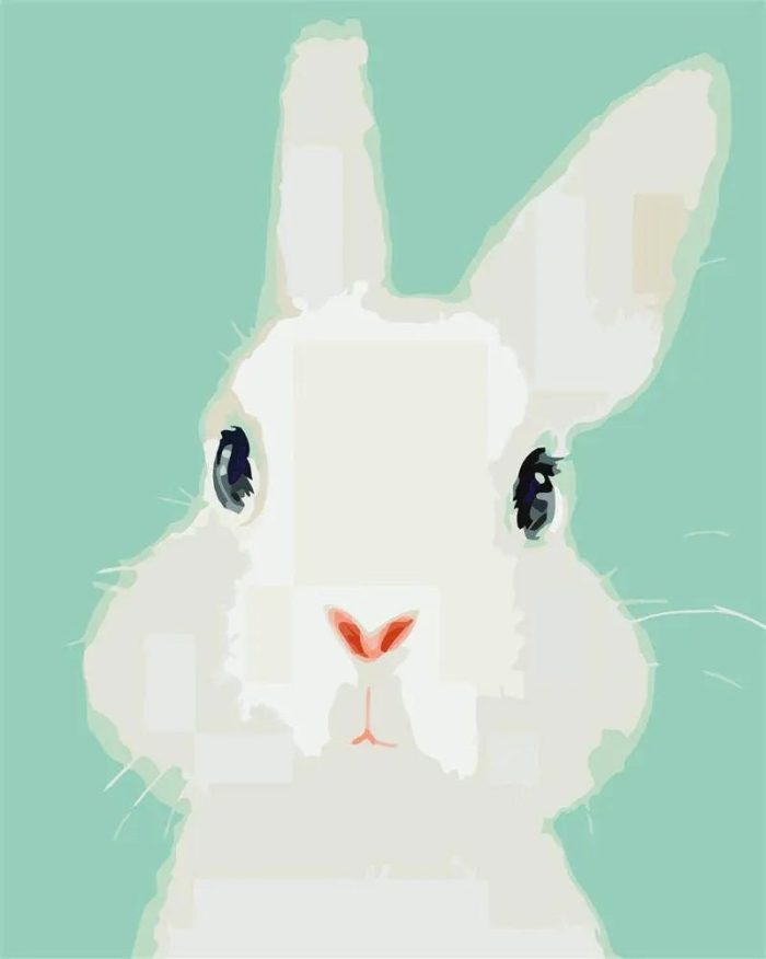 Cute Rabbit