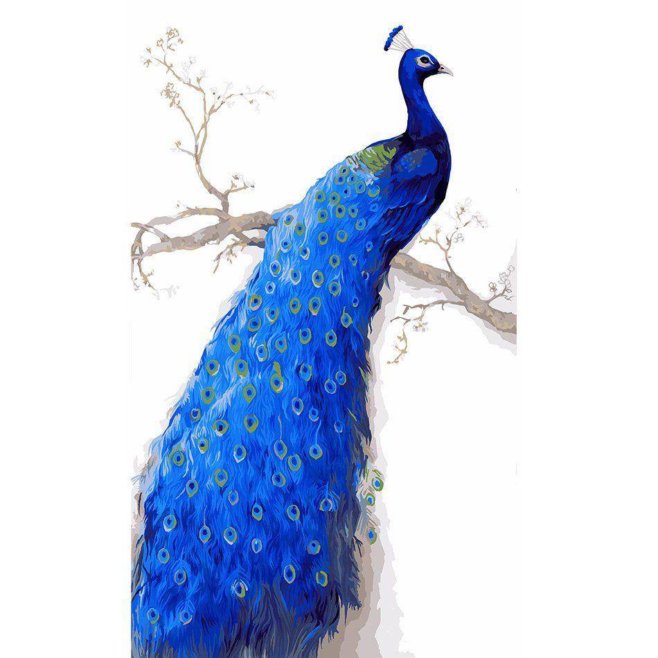 Peacock