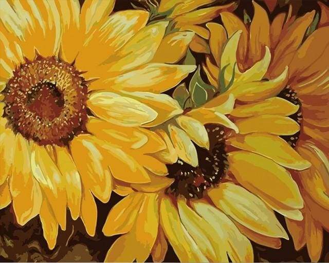 Sunflower In Full Bloom