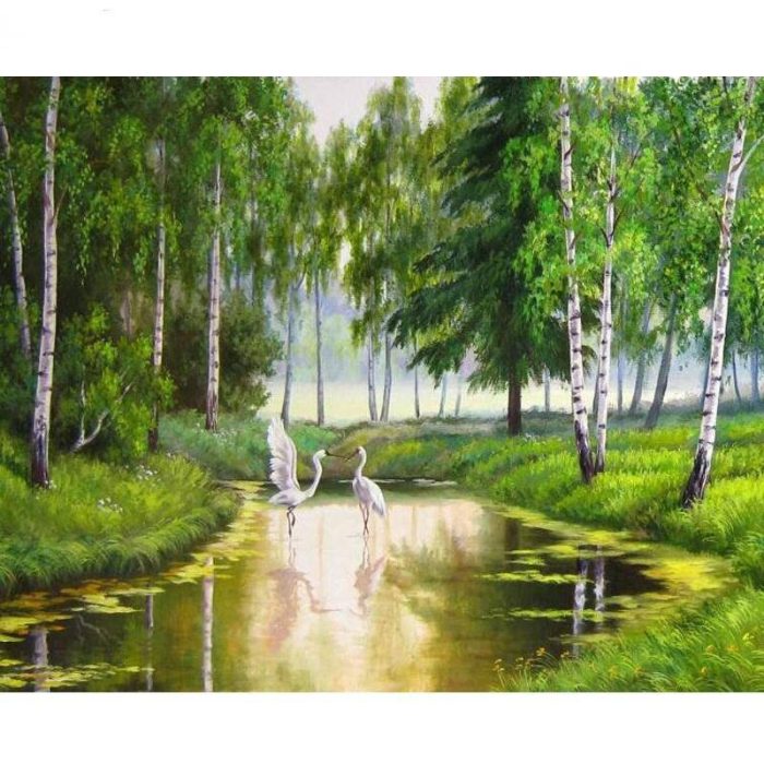 Swans In A River