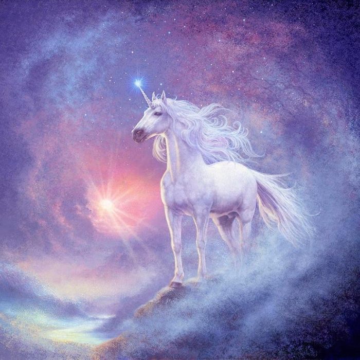 Unicorn
