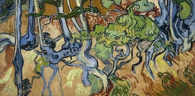 Van Gogh Root