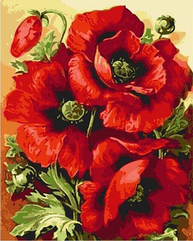 Wonderful Red Flowers